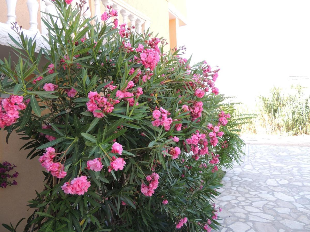 Apartman Husic Pag Town Buitenkant foto